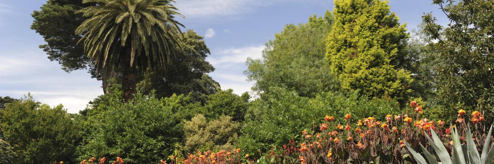 Jardim Botânico de Melbourne